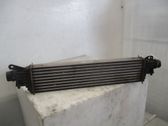Intercooler radiator