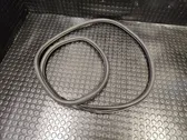 Rear door rubber seal (on body)