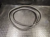 Front door rubber seal