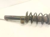 Front shock absorber with coil spring