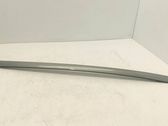Windshield trim