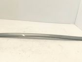 Windshield trim