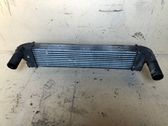 Intercooler air channel guide