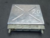 Engine control unit/module ECU