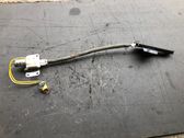 Seat belt adjustment motor