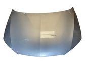 Motorhaube