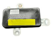 Airbag de la puerta delantera