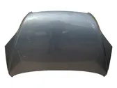 Engine bonnet/hood