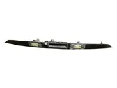 Trunk door license plate light bar