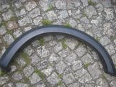 Fender trim (molding)