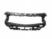 Front bumper upper radiator grill