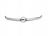 Front bumper upper radiator grill