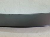 Other rear door trim element