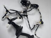 Front door wiring loom