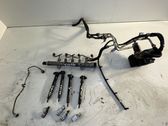 Fuel injection system set