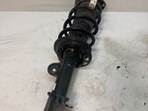 Front shock absorber/damper