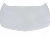 Engine bonnet/hood