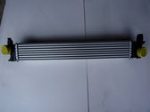 Intercooler radiator
