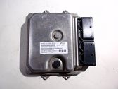 Engine control unit/module ECU