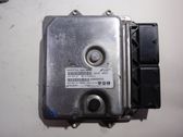 Engine control unit/module ECU
