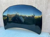 Motorhaube