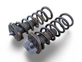Rear coil spring