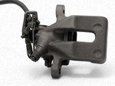 Bremssattel hinten