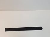 Verkleidung Schweller vorne