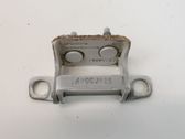 Tailgate/trunk/boot hinge