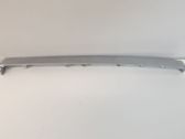 Panel trim