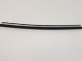 Rear door glass trim molding