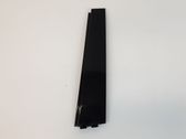 Rear door glass trim molding