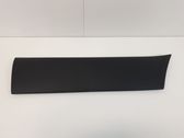 Front door trim (molding)