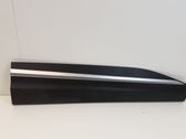 Front door trim (molding)