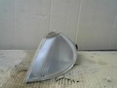 Front fender indicator light