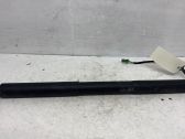 Tailgate/trunk strut/damper
