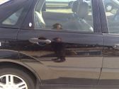 Rear door