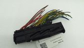 Other wiring loom