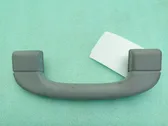 Front interior roof grab handle