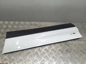 Rear door trim (molding)
