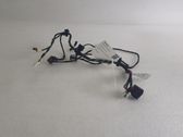 Rear door wiring loom
