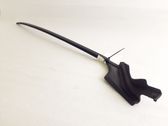 Windshield trim