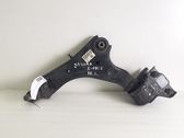 Front lower control arm/wishbone