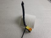 Other wiring loom