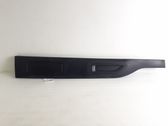 Front door trim (molding)