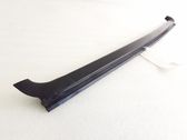 Rear door glass trim molding