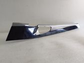 Other front door trim element