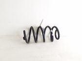 Muelle espiral trasero