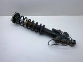 Rear shock absorber with coil spring