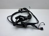 Other wiring loom